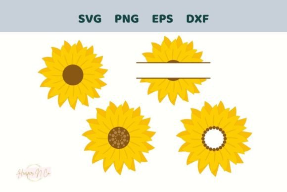 Download Sunflower SVG Bundle, 4 PNG Sublimation - Svg Collection